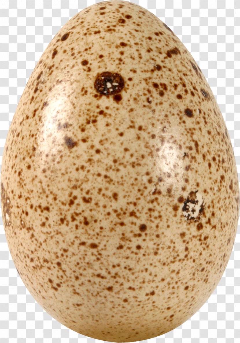 Fried Egg Easter - Boiled - Image Transparent PNG