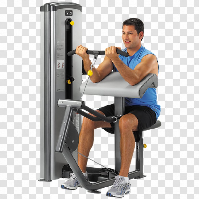 Biceps Curl Cybex International Exercise Arm - Tree - Fitness Equipment Transparent PNG