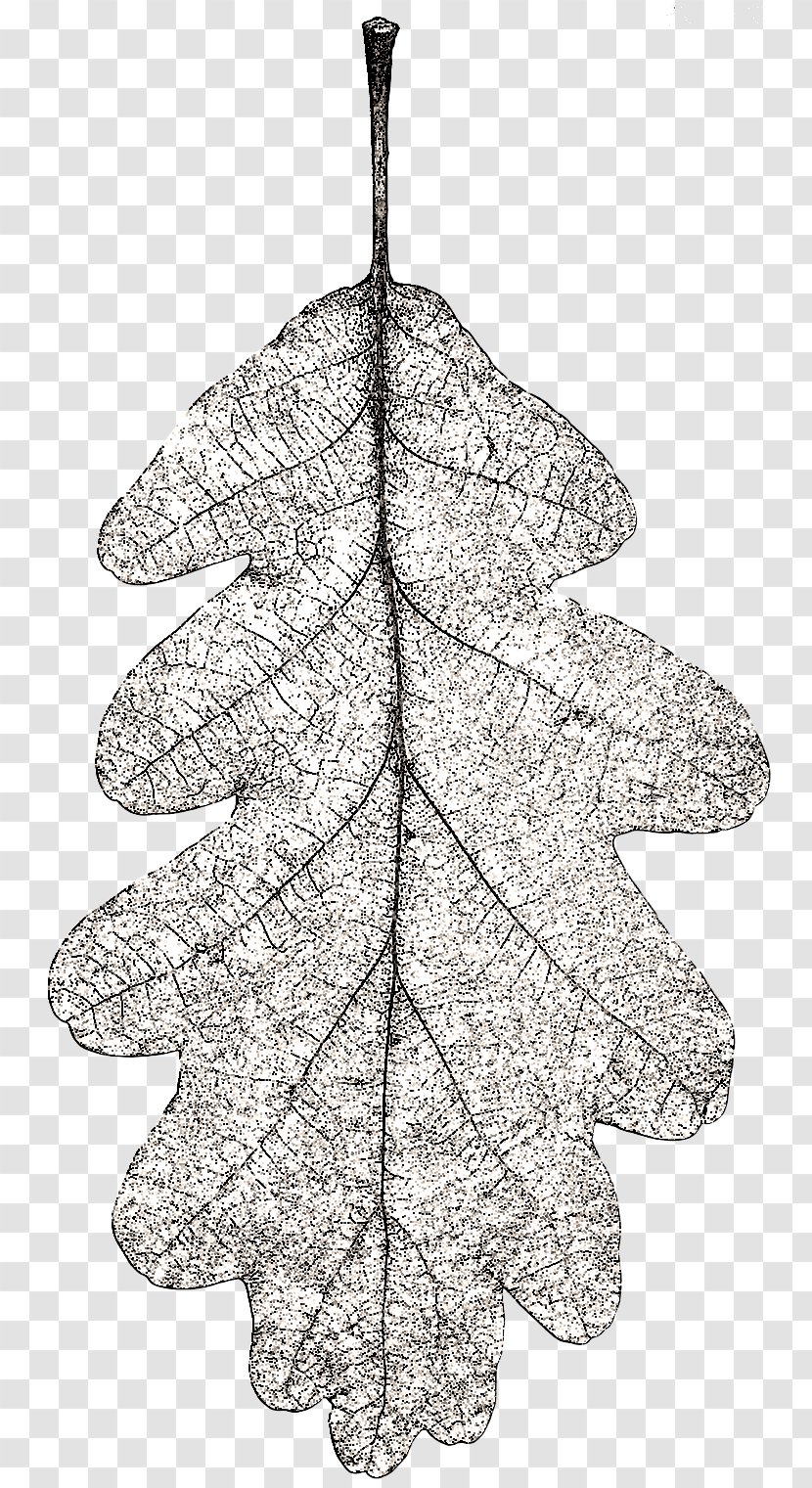 Pine Christmas Ornament Twig Leaf - Plant Transparent PNG