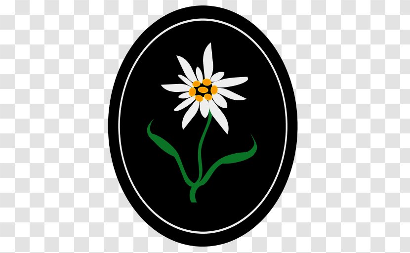 Clip Art Logo Flower Symbol Fullmetal Alchemist - Plant Transparent PNG