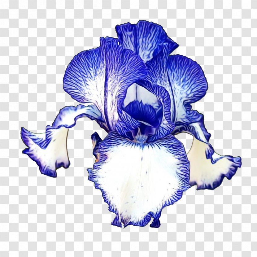 Blue Flower Petal Plant Iris - Paint - Family Violet Transparent PNG