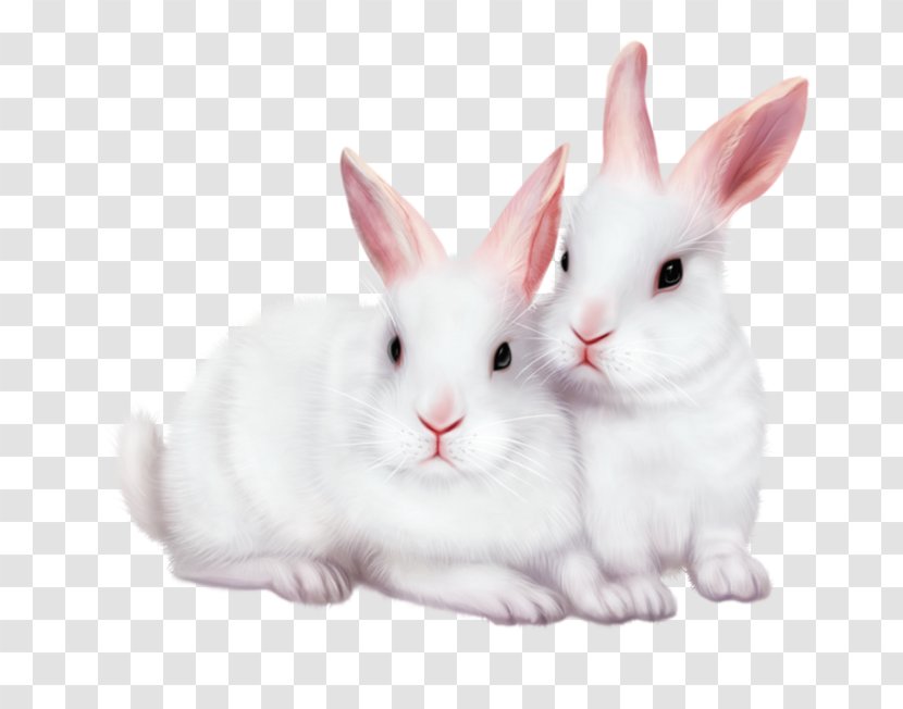 Rabbit Image Editing Clip Art Transparent PNG