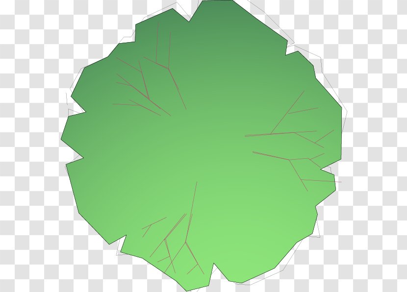 Leaf Tree Transparent PNG