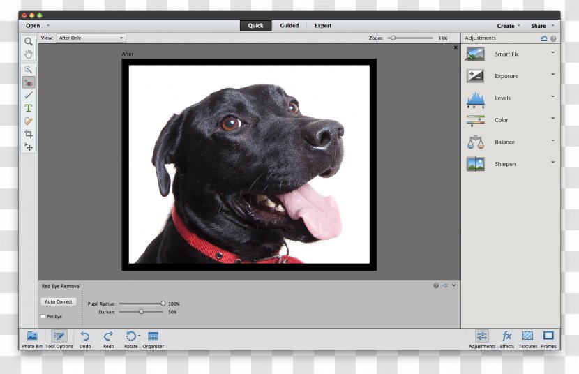 Adobe Photoshop Elements Tutorial - Screenshot - After Effects Transparent PNG