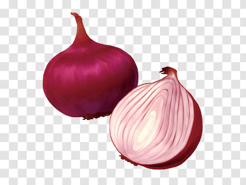 Shallot Yellow Onion Vegetable Food Red Transparent PNG
