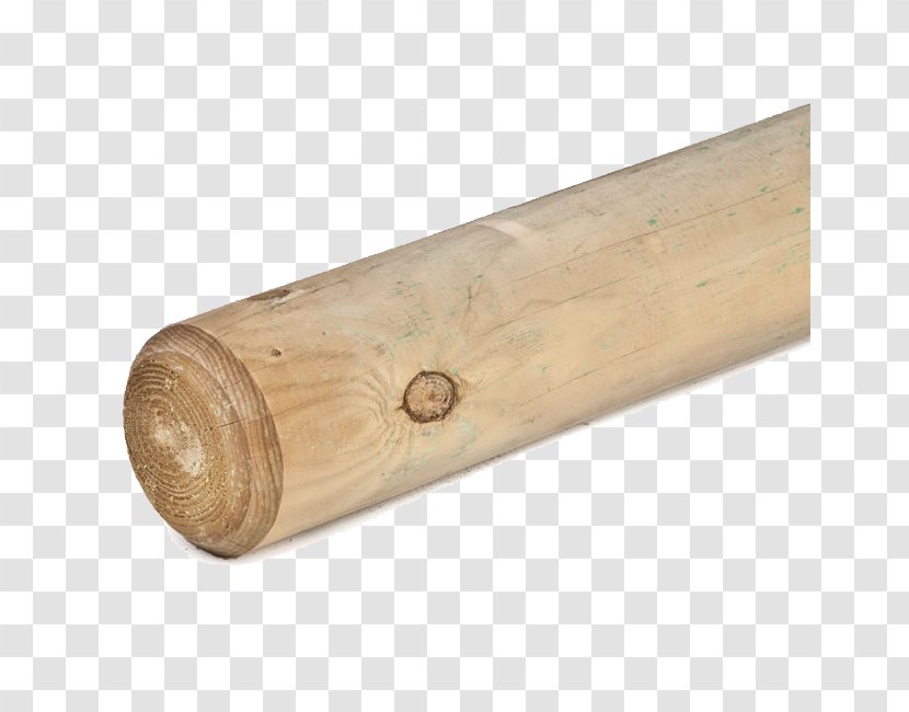 Softwood Tree Furu Essence Forestière - Column - Wood Transparent PNG