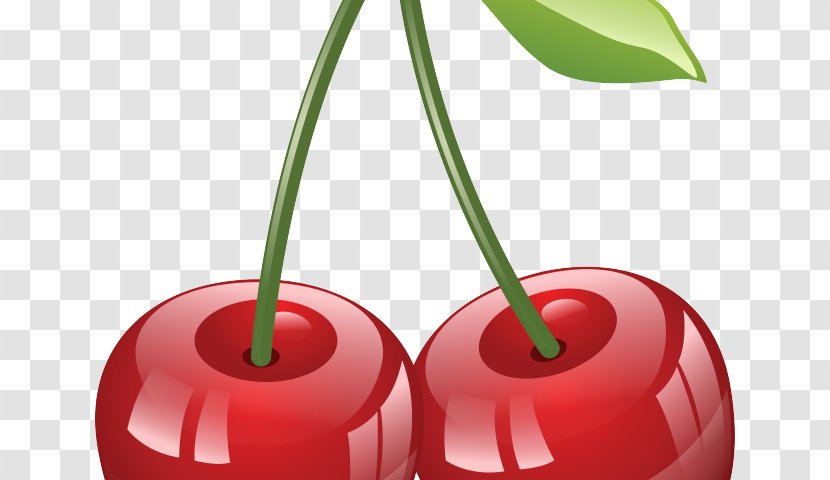 Cherry Tree - Berries - Apple Candy Transparent PNG