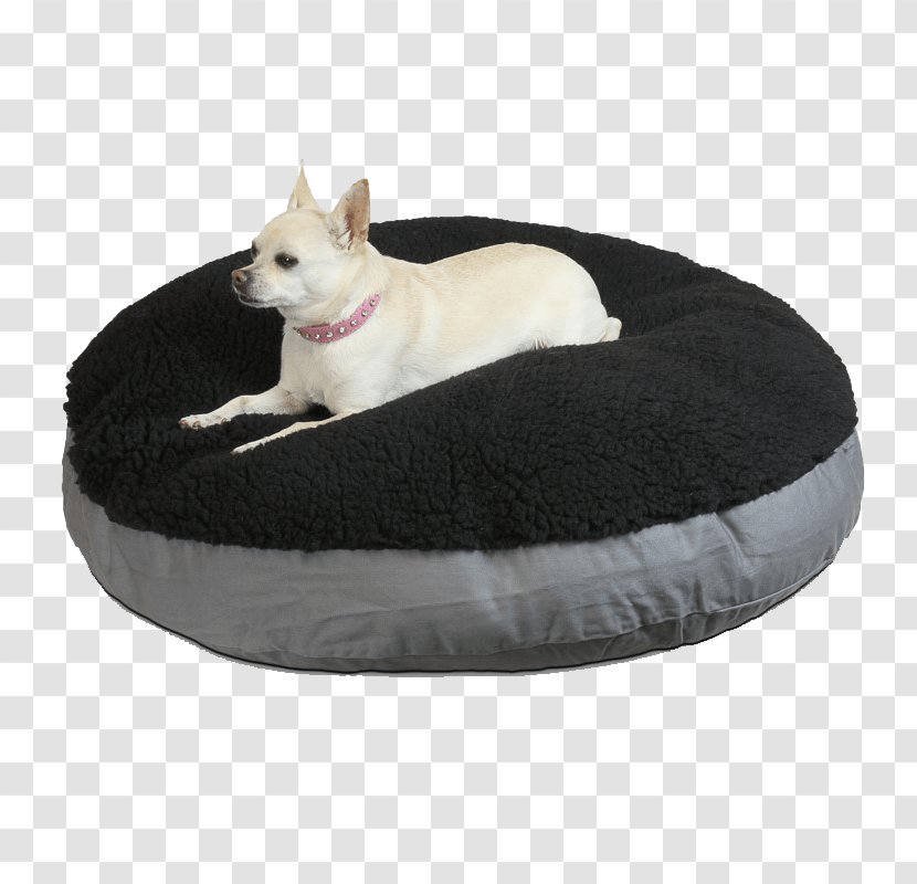 Whiskers Bed Dog 0 Snout - Couch Transparent PNG