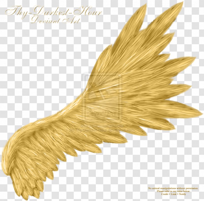 Angel Wings Clip Art Transparent PNG