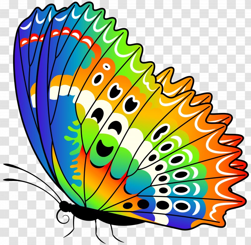 Butterfly Clip Art - Cartoon - Colorful Transparent PNG