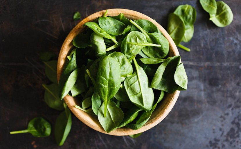 Spinach Nutrient Nutrition Food Vitamin - Basil Transparent PNG