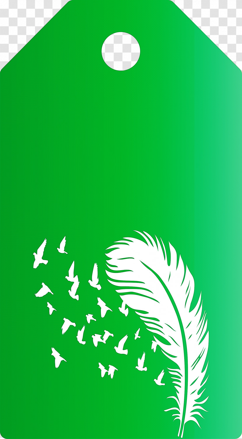 Feather Birds Tag Transparent PNG