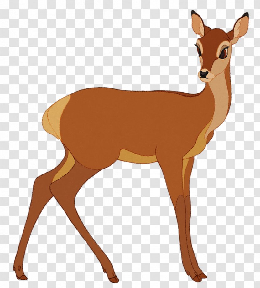 White-tailed Deer Musk Deers Antler Gazelle - Whitetailed Transparent PNG