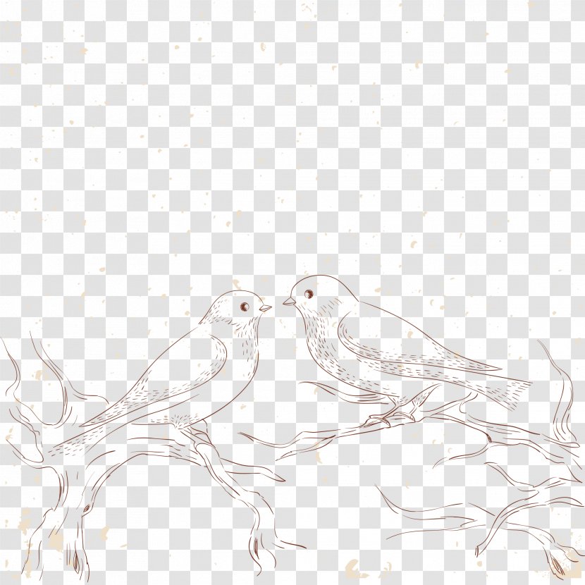 Beak Black And White Feather Pattern - Love Birds Sketch Transparent PNG
