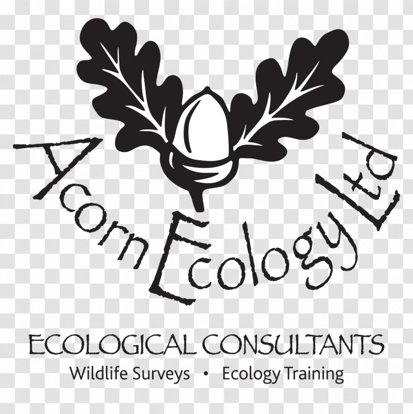 Exeter Acorn Ecology Ltd Environmental Consulting Consultant - Brand - Winnie Pooh Black Transparent PNG