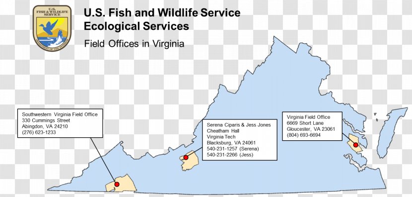 Northeastern United States Fish And Wildlife Service Virginia Bald Eagle Region - Endangered Species - Map Transparent PNG