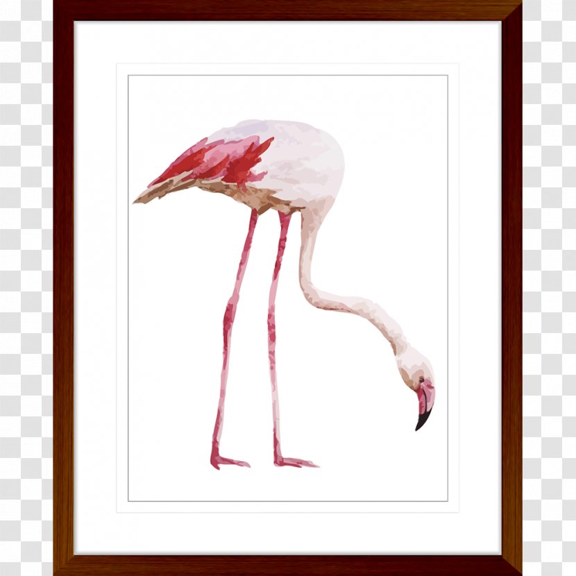 Flamingo Desktop Wallpaper IPhone - Water Bird Transparent PNG