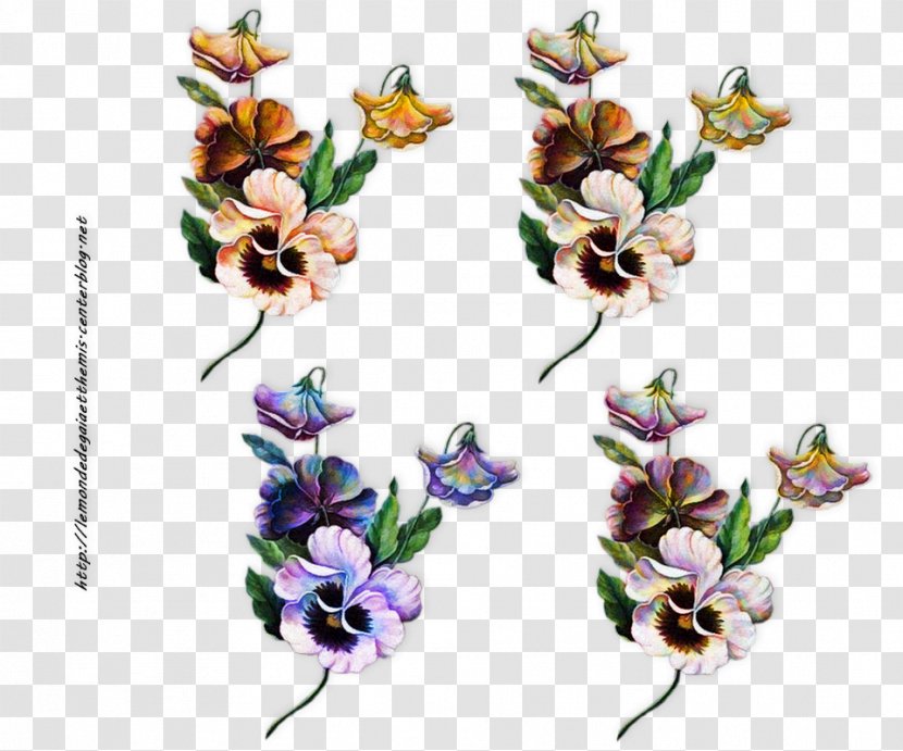 Cut Flowers Floral Design Themis - Flora - Flower Transparent PNG