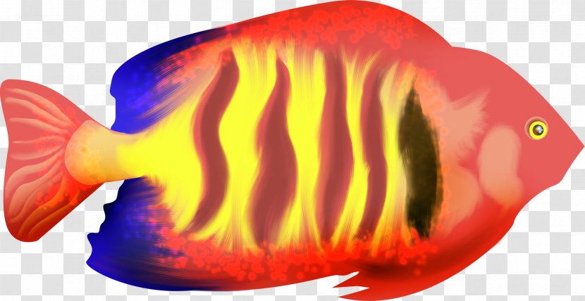 Fish Clip Art - Red Transparent PNG