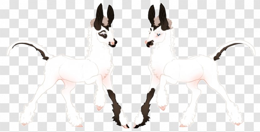 Horse Cat Neck Tail Wildlife - Hind Transparent PNG