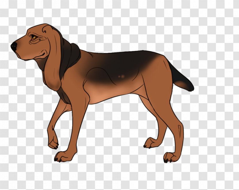 Redbone Coonhound Dog Breed Cartoon Sleeve - Anatomy Ribbon Transparent PNG