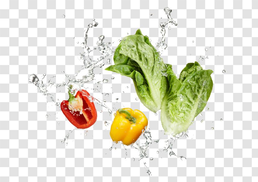 Vegetarian Cuisine Vegetable Stock Photography Chili Pepper - Recipe - Fresh Vegetables Transparent PNG