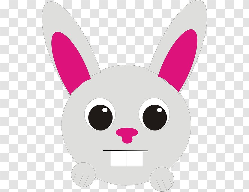 Hare Clip Art Rabbit Openclipart Image - Face - Commercial Advertisement Transparent PNG