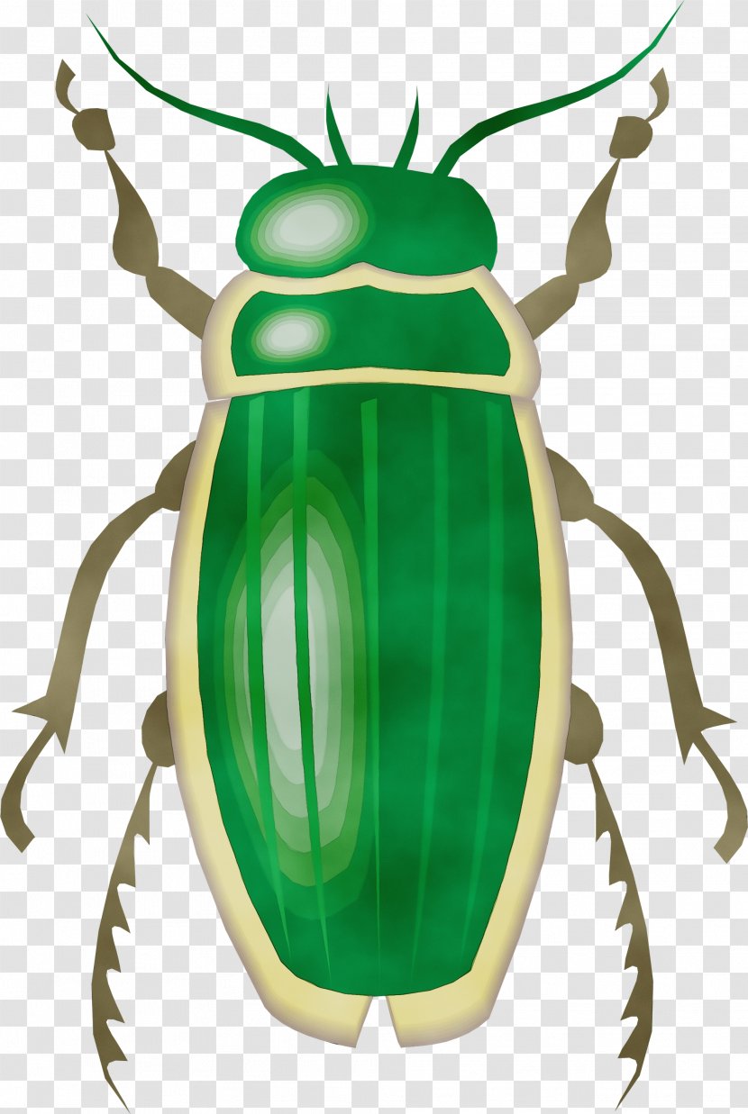 Insect Clip Art Beetle Cetoniidae Ground - Wet Ink - Stag Beetles Blister Transparent PNG