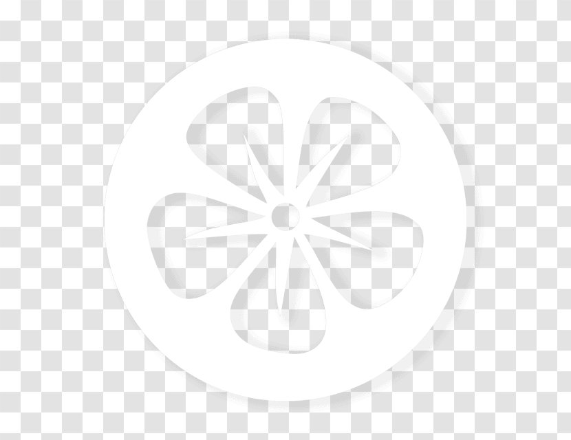 Circle - White - Petal Transparent PNG