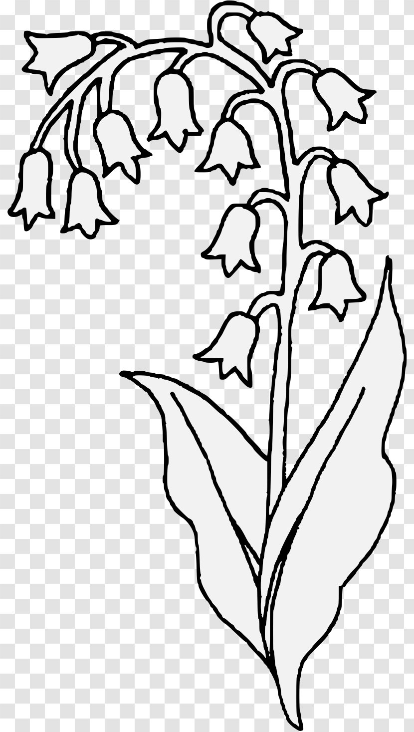 Lily Of The Valley Flower Drawing Plant Stem Clip Art - Area Transparent PNG