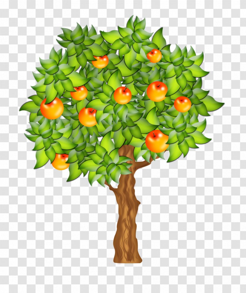 Clip Art Fruit Tree - Houseplant Transparent PNG