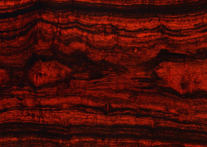 Red RGB Color Model Wallpaper - Texture - Wood Transparent PNG