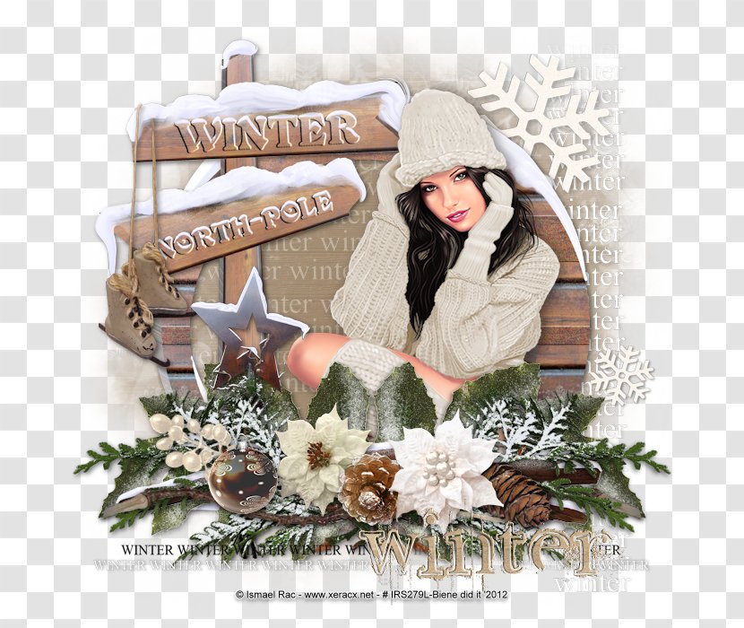 Christmas Ornament Gift - Winter Tutorial Transparent PNG