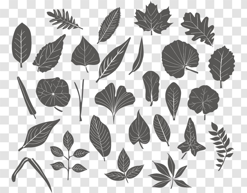Vector Leaf - Wallpaper - Branch Transparent PNG