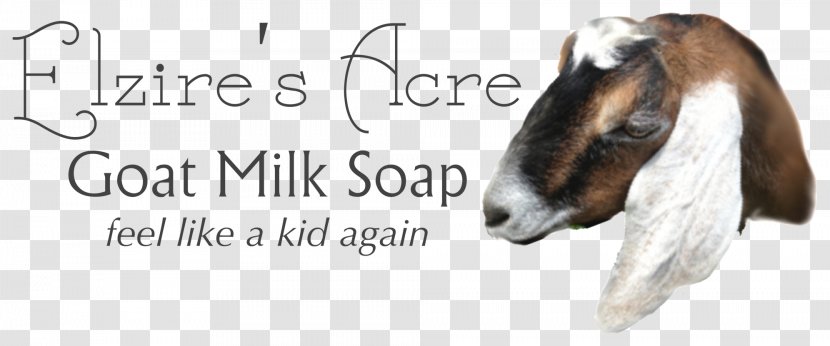 Goat Milk Butter Cattle - Soap Transparent PNG