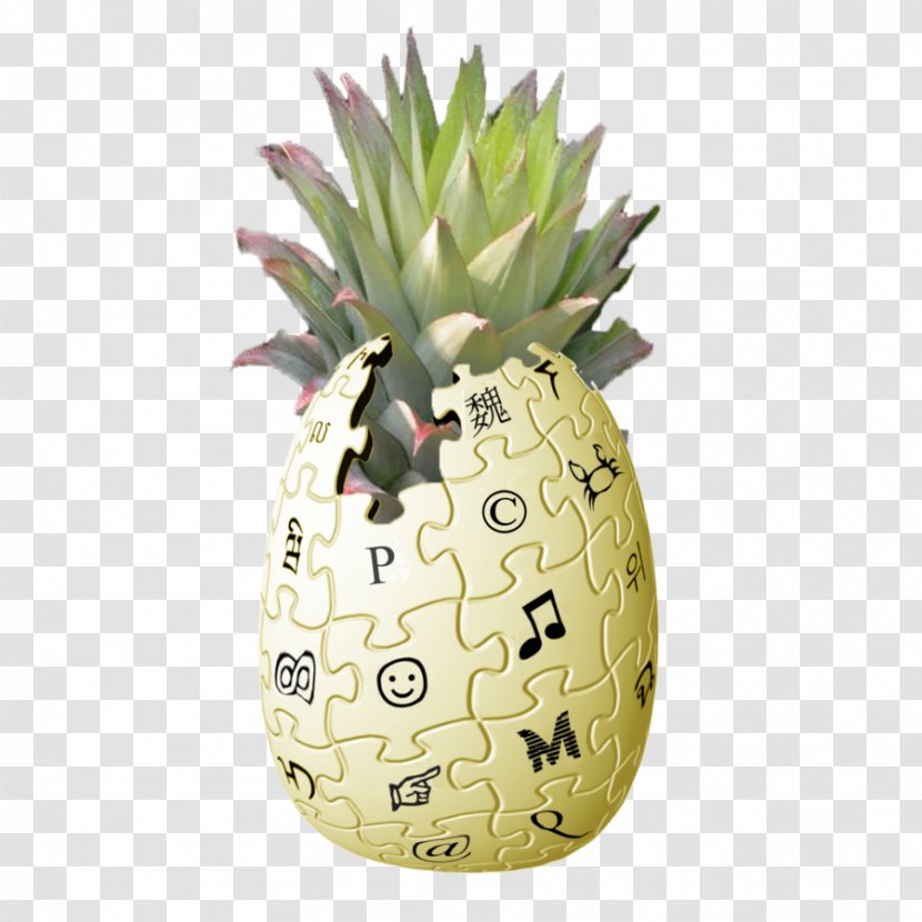 Pineapple Encyclopedia Food Fruit Plant - Propaganda Transparent PNG