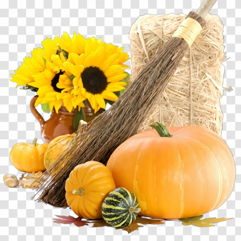 Pumpkin - Winter Squash - Fruit Vegetable Transparent PNG