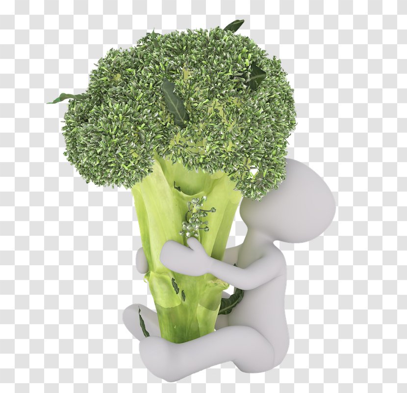 Broccoli Food Dietary Fiber Vegetable Vitamin - Cooking Transparent PNG