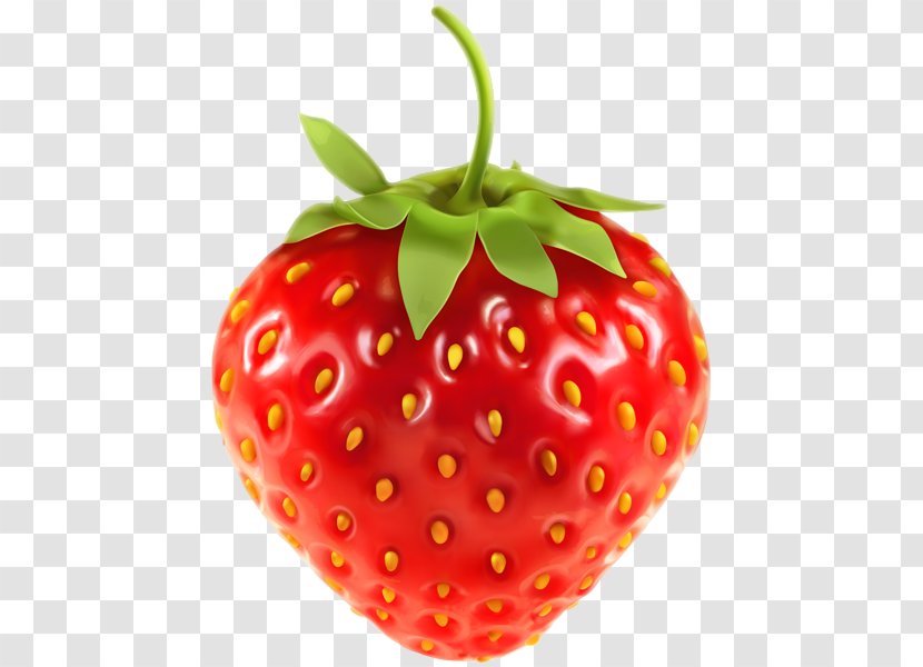 Vector Graphics Clip Art Strawberry Illustration Fruit - Strawberries Transparent PNG