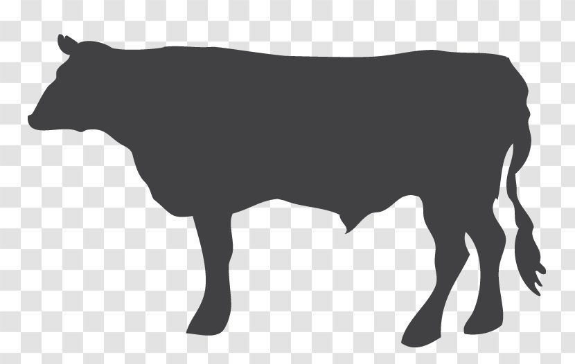Dairy Cattle Livestock Calf Ox - Bull - Sheep Transparent PNG