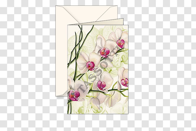 Floral Design Paper Cut Flowers Orchids Greeting & Note Cards - Orchidea Transparent PNG