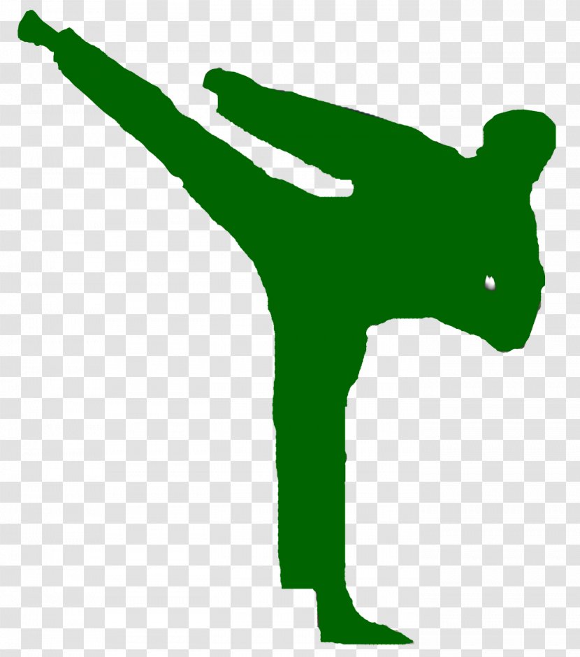 Taekwondo Martial Arts Sport International Taekwon-Do Federation Karate - Dan - Mixed Transparent PNG
