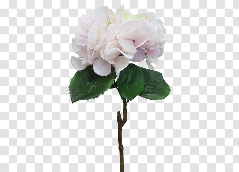 Cut Flowers Floral Design Plant Centifolia Roses - Peony - Hydrangea Transparent PNG