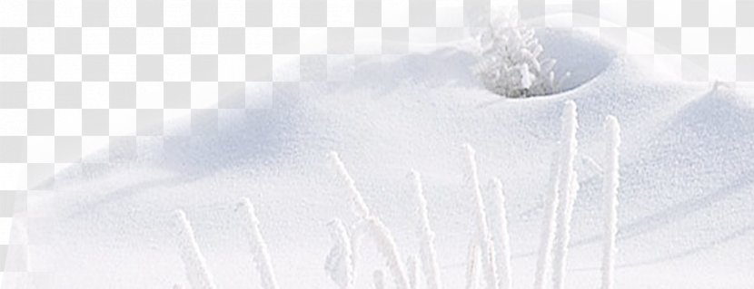 White Angle Font - Romantic Winter Snow Pictures Transparent PNG