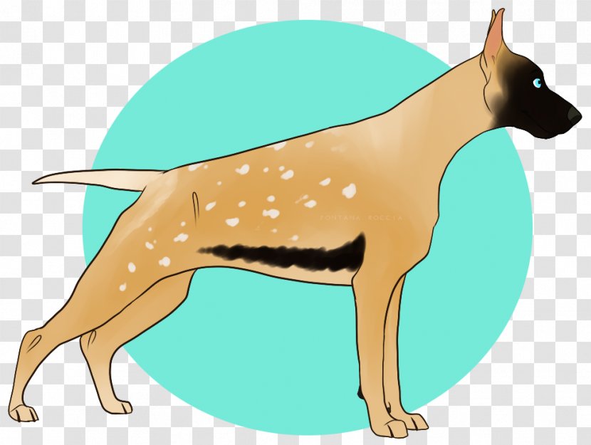 Dog Breed Italian Greyhound Illustration Clip Art - Like Mammal - Agouti Graphic Transparent PNG