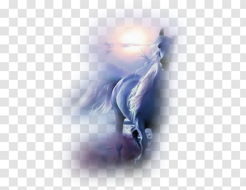 Appaloosa Equestrian Draft Horse Canter And Gallop - Feather - Animation Transparent PNG