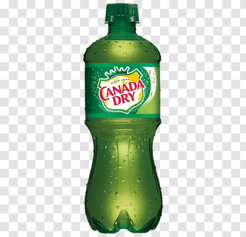 Ginger Ale Fizzy Drinks Lemonade Coca-Cola Ale-8-One - Green Transparent PNG