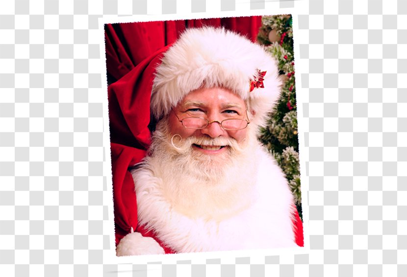 Santa Claus Facial Hair Lap Christmas Beard - Real Transparent PNG