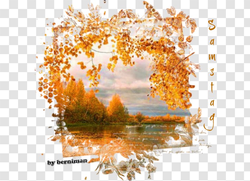 Samsung Galaxy Star Autumn Watercolor Painting Transparent PNG