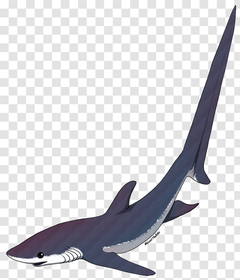 Shark USS Thresher (SSN-593) Isurus Oxyrinchus Chondrichthyes Common - Fin Transparent PNG